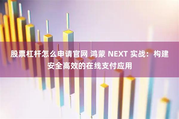 股票杠杆怎么申请官网 鸿蒙 NEXT 实战：构建安全高效的在线支付应用