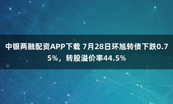 中银两融配资APP下载 7月28日环旭转债下跌0.75%，转股溢价率44.5%