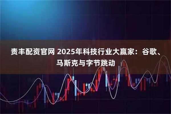 责丰配资官网 2025年科技行业大赢家:谷歌、马斯克与字节跳动